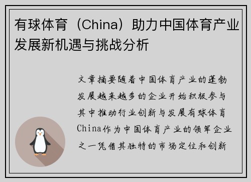 有球体育（China）助力中国体育产业发展新机遇与挑战分析